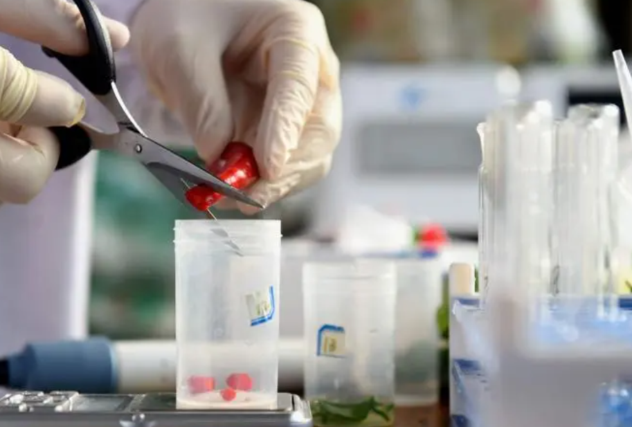 家電 GB質檢報告